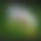 Zagraj Let It Ride z Playtech w {"id":61,"name":"Unibet","design":{"logo":"unibet-logo-eC65oH.svg","favicon":"unibet-favicon-Ie7jhm.png","banner_poker":"unibet-poker-DtsSxz.webp","banner_mobile":"unibet-mobile-Z37I0e.webp","block_bg_color":"#000","image_bg_color":"#333","banner_bg_color":"#15803d","block_text_color":"#ffffff","primary_bg_color":"#f8fafc","banner_text_color":"#fff","footer_logos_type":"black","block_round_radius":"0.5rem","primary_text_color":"#020617","button_round_radius":"0.25rem","banner_welcome_bonus":"unibet-welcome-bonus-kQioCL.webp","primary_button_bg_color":"#facc15","primary_button_text_color":"#fff","secondary_button_bg_color":"#999","secondary_button_text_color":"#fff"},"created_at":"2025-05-14T09:25:22.000000Z","updated_at":"2025-05-14T09:25:22.000000Z","deleted_at":null}